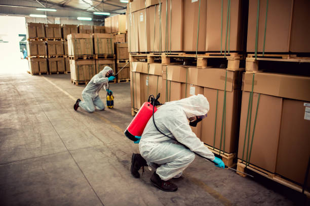 Best Local Pest Control Services  in Richmond, CA