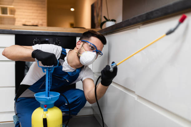 Best Best Pest Control Companies  in Richmond, CA