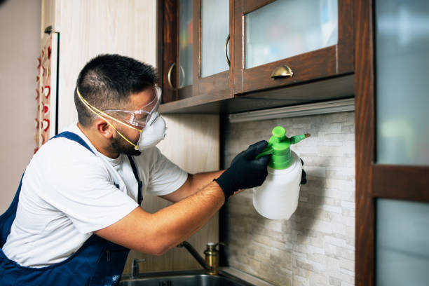Best Mosquito Control Services  in Richmond, CA