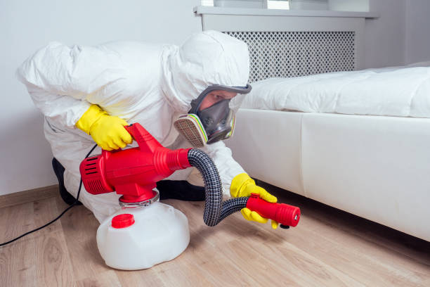 Best Wasp Removal Services  in Richmond, CA