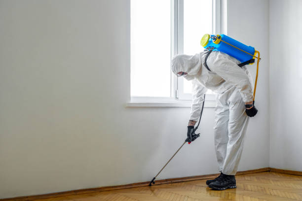 Best Best Pest Control Near Me  in Richmond, CA