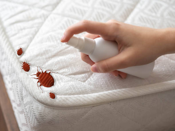 Best Pest Control Near Me  in Richmond, CA