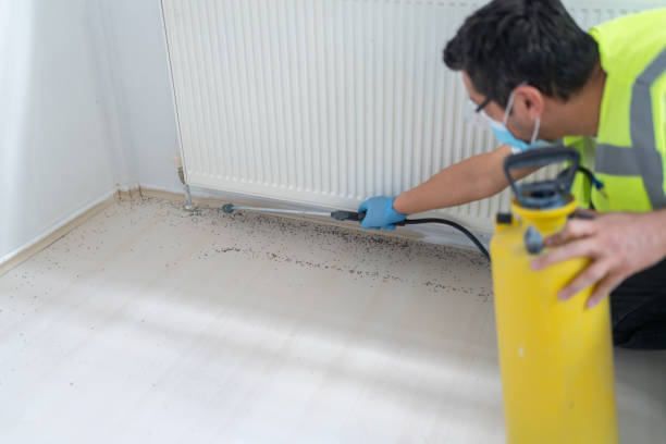 Best Insect Control  in Richmond, CA