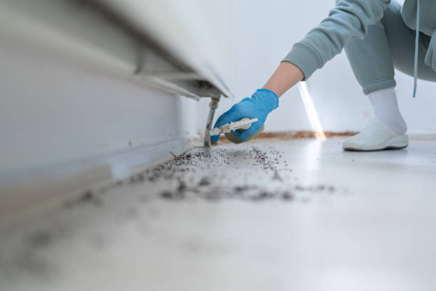 Best Mosquito Control Services  in Richmond, CA